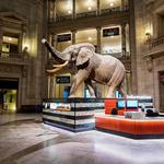 DC Museums