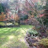 Dunsmuir Botanical Gardens