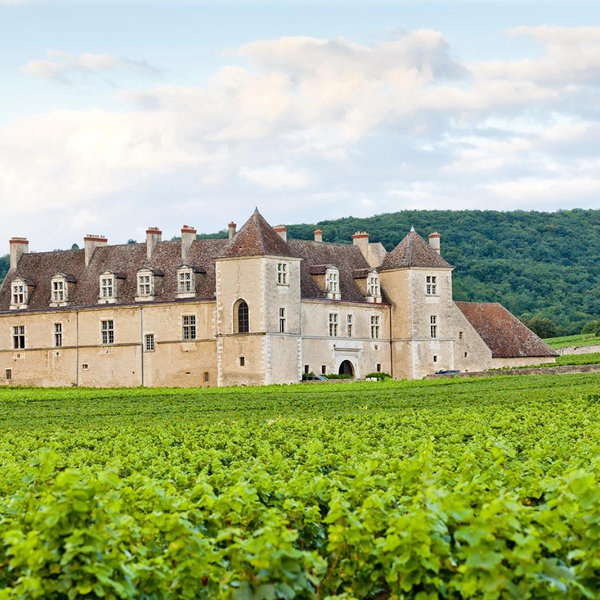 Wine tour through Beaune, France