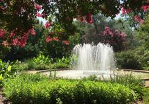 Daniel Stowe Botanical Garden