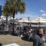 The Salty Dog Cafe