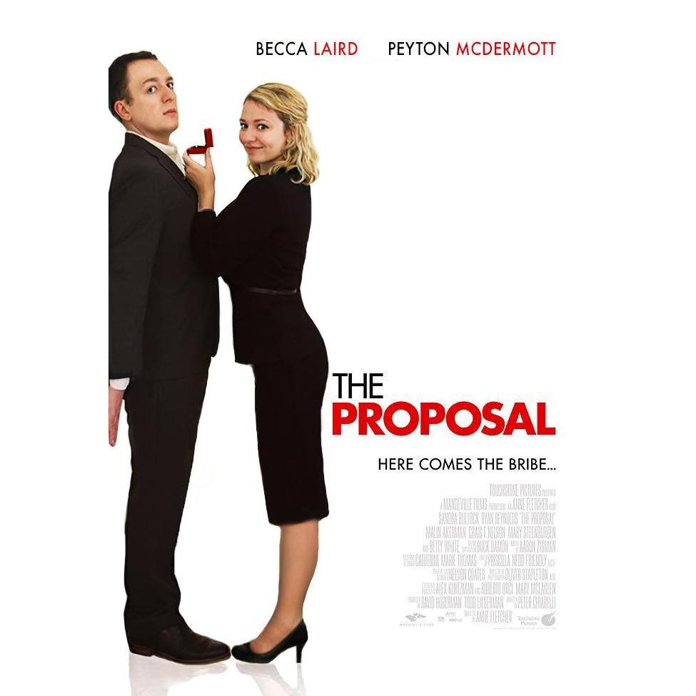 3. The Proposal