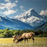 Rocky Mountain National Park