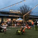 Halcyon