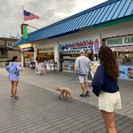 Visit Chris’ penguin friends at Jenkinson’s Aquarium