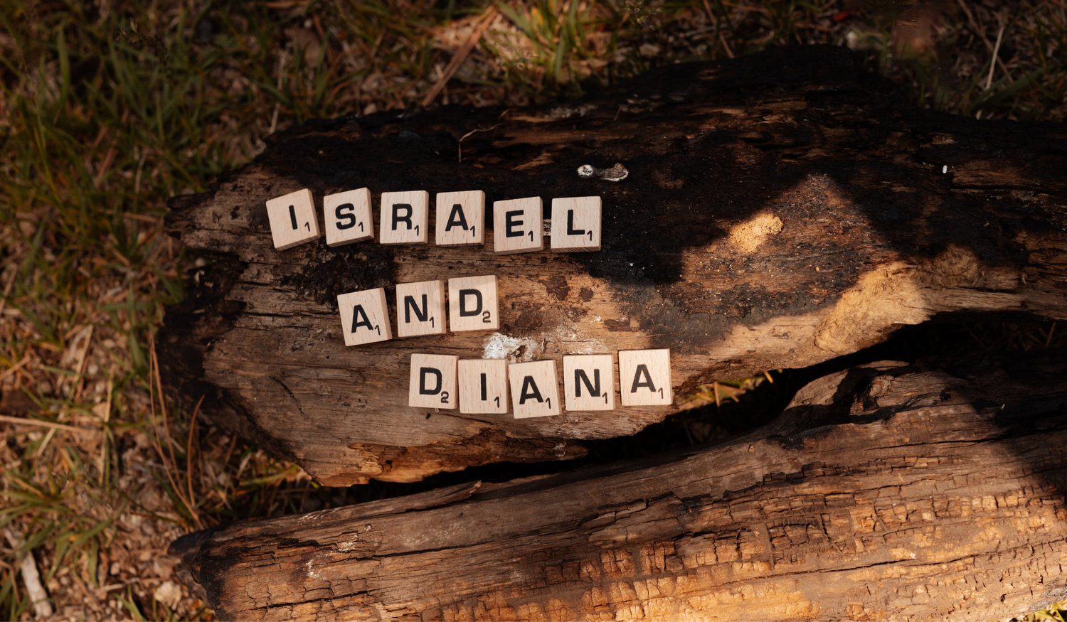 The Wedding Website of Diana Guerrero and Israel Valles