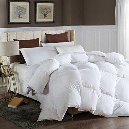 LESNNCIER King Down Alternative Comforter Duvet Insert All Seasons Ultra Plush Microfiber Fill Goose Down Alternative Comforter Machine Washable