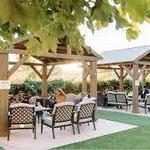 Scribner Bend Vineyards