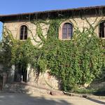 Wine Tasting- La Ripa