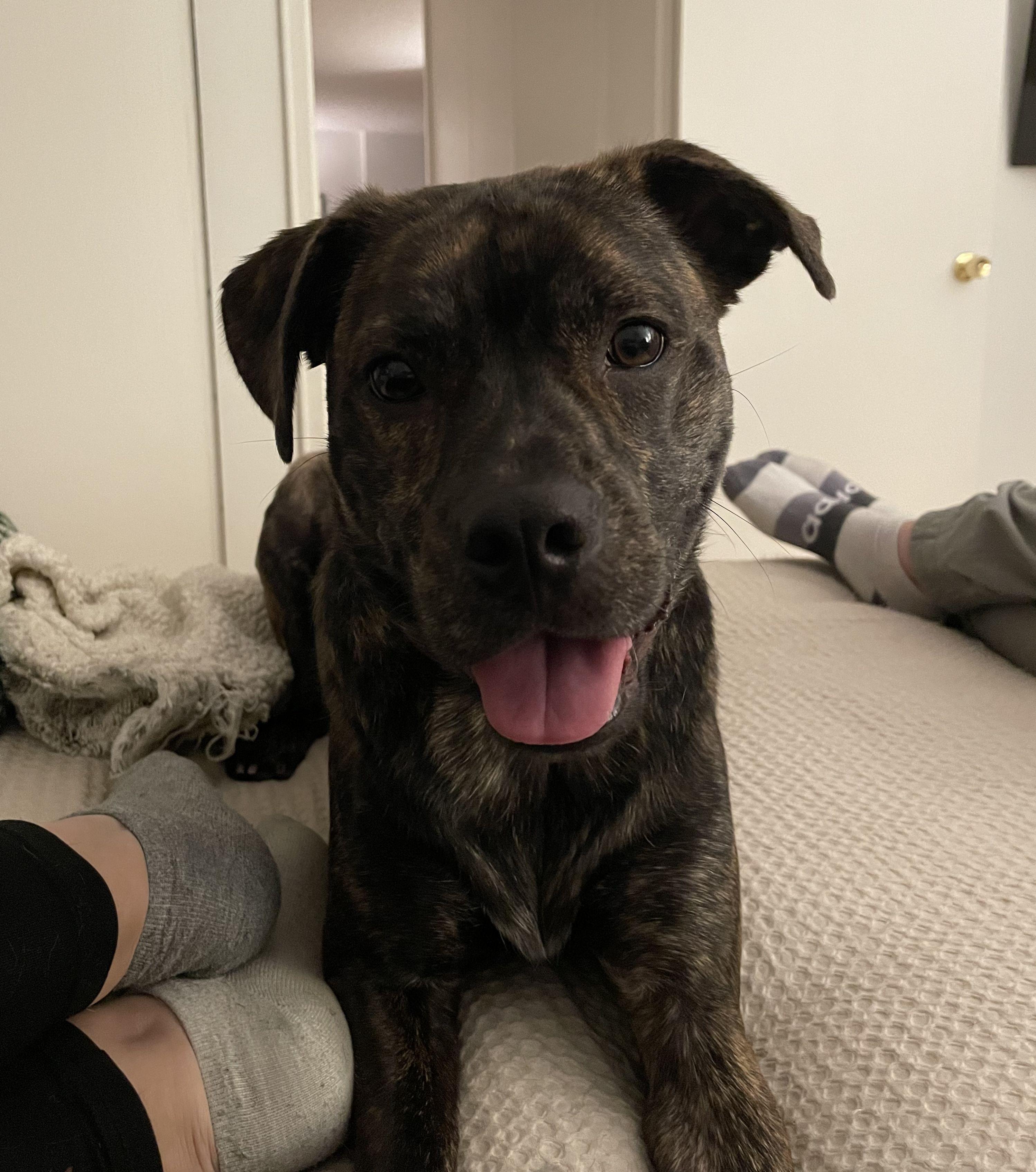 The Wedding Website of Kari Dubin and Jason Schwartz