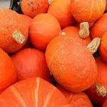 Saturday Morning Farmers Market