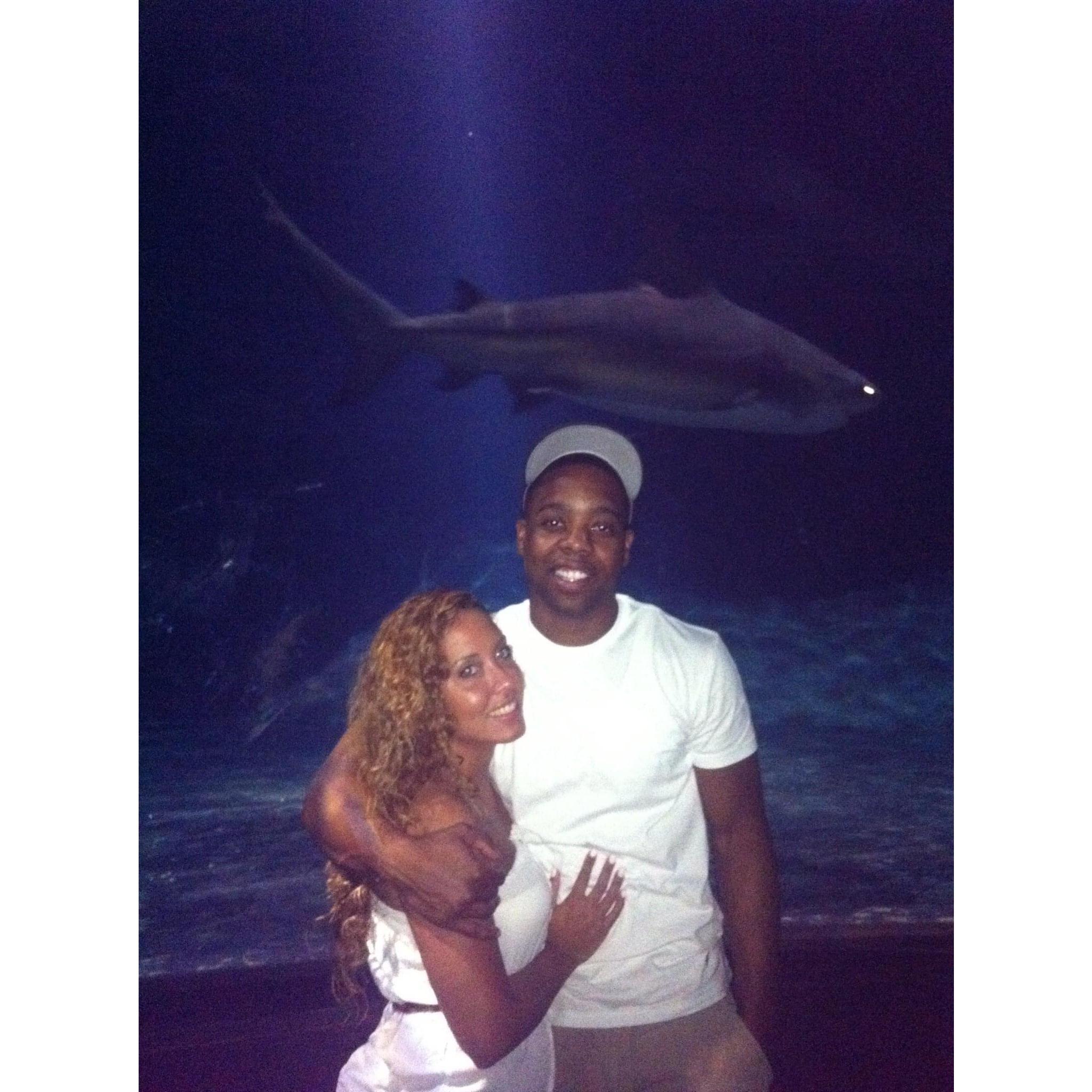 First trip to the Jenks Aquarium together in OK.