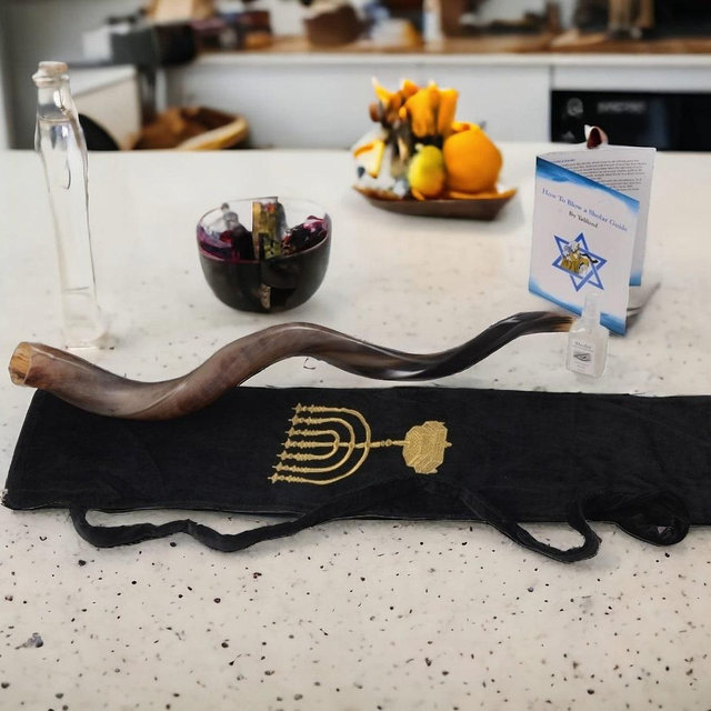 Shofar Horn Kosher Yemenite KuduPolish Kosher Genuine Judaica from Israel Came with Bag Guide and Odor Spray , Carrying case