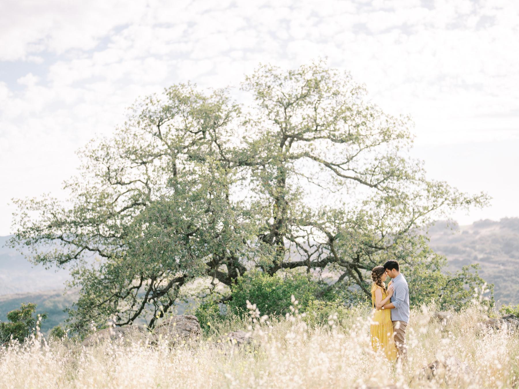 42cda7a4-d520-4c76-ad66-ffd2391aeee1