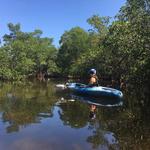 Tarpon Bay Explorers