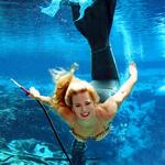 Little Mermaid Live Show