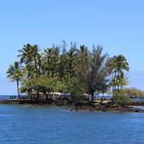 Coconut Island