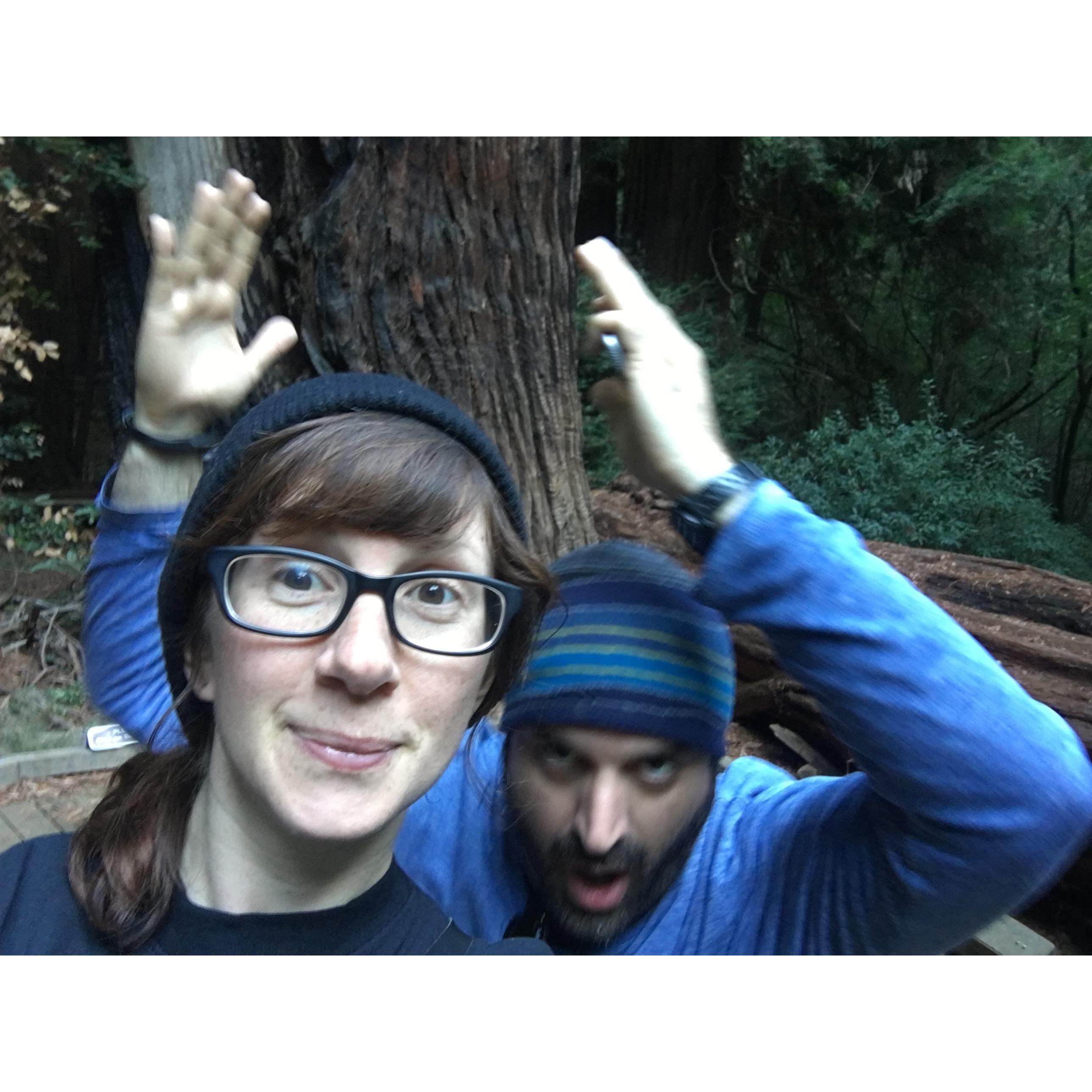 And a super tall tree.