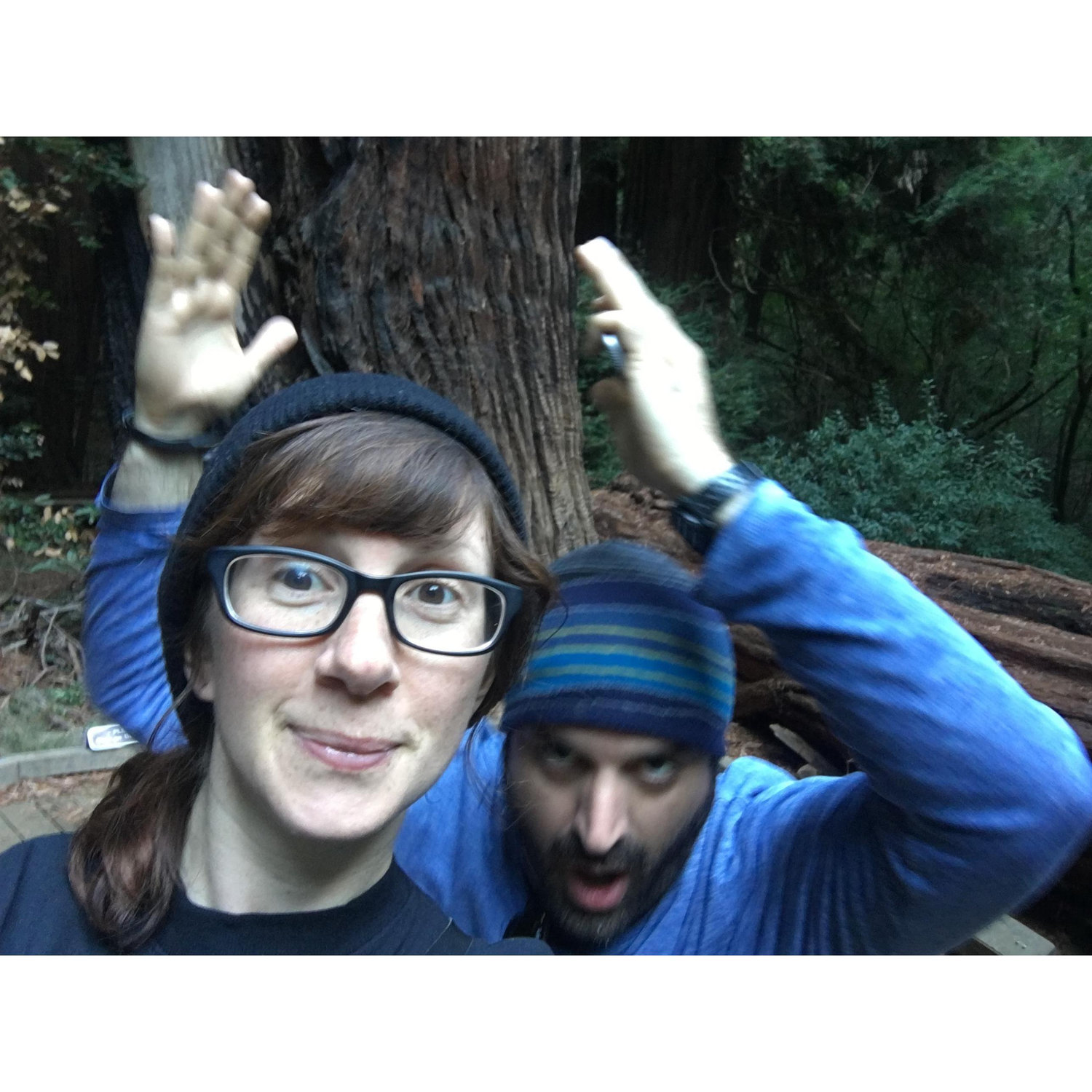 And a super tall tree.