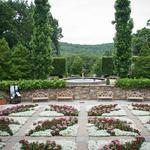 The NC Arboretum