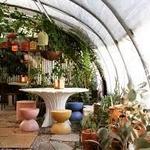 Greenhouse Bar