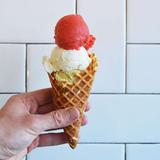 Dolce Neve Gelato