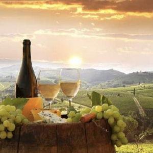 Wine tasting transportation in Tuscany