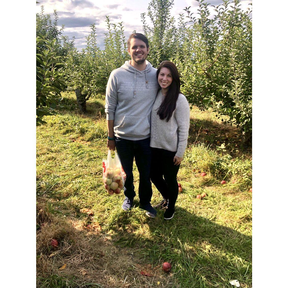 Apple Picking, 2020