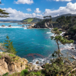 Explore Point Lobos State Natural Reserve