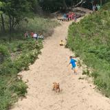 "Angel Slide" Dune (On-Site)