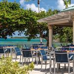 Coconut Cove