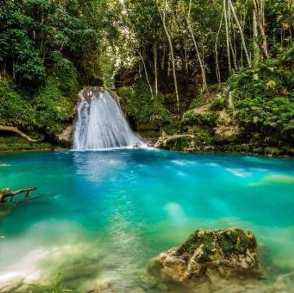 Our Honeymoon in Jamaica