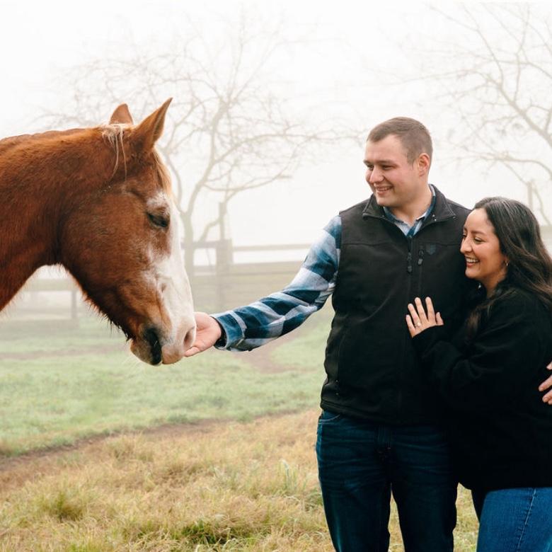 The horse wanted to be in the picture too