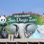 San Diego Zoo