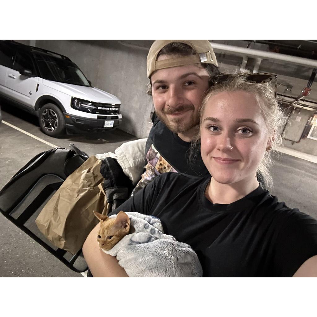 The day the Bride and Groom picked up their first cat, Winnie!