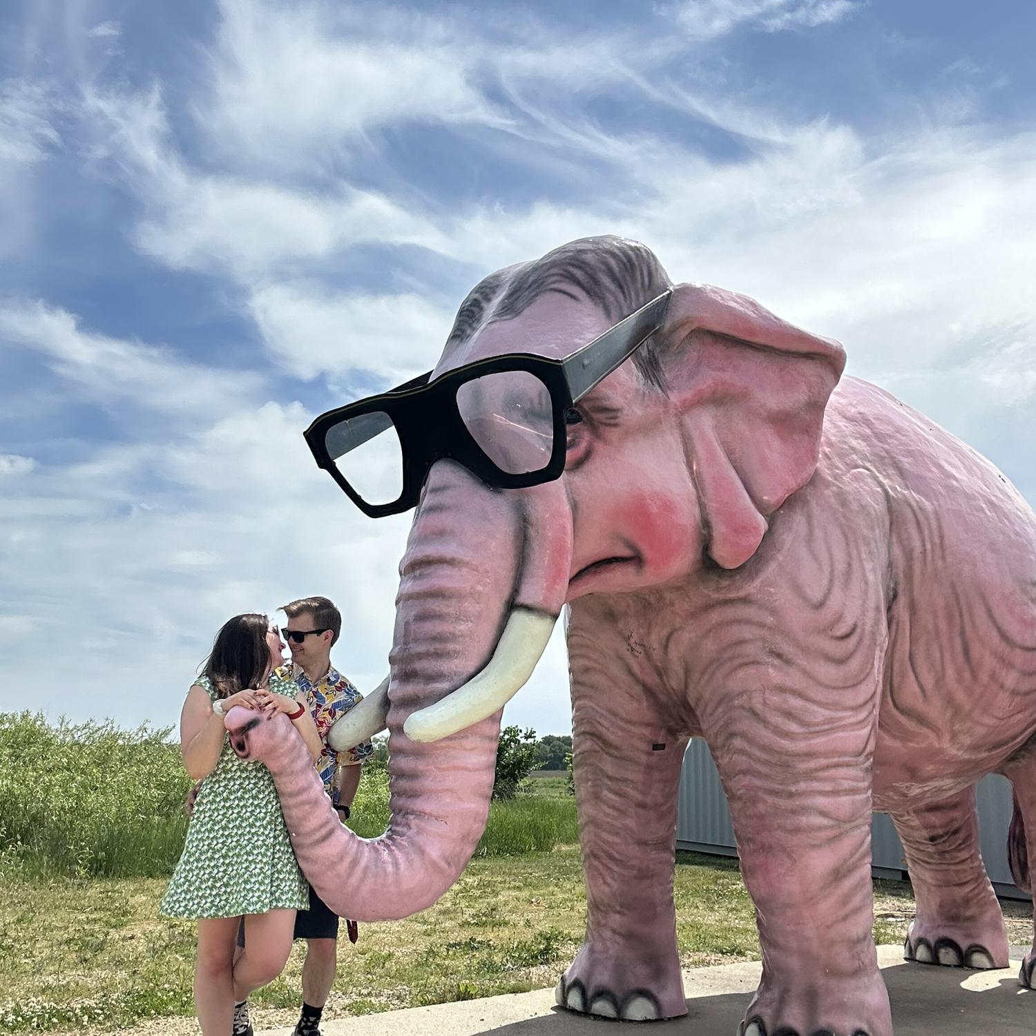 Saying Hi to Pinkie the Elephant!