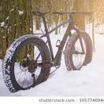 Fat Bike Rentals