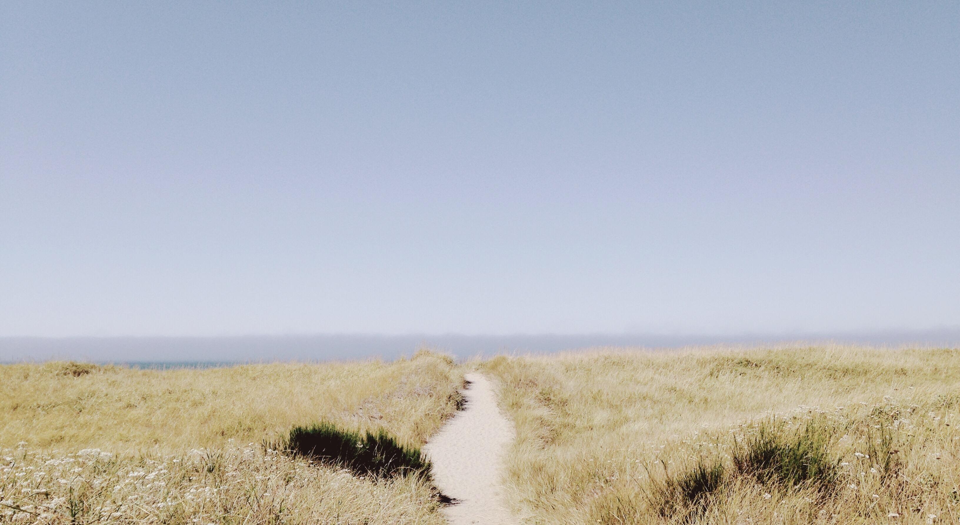 Footer image