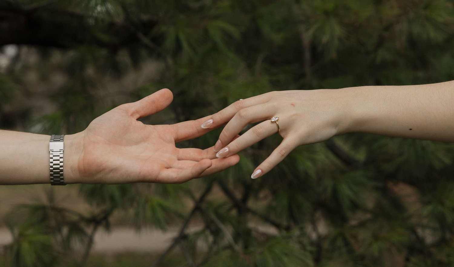 The Wedding Website of Michael Fulop and Savannah Jons