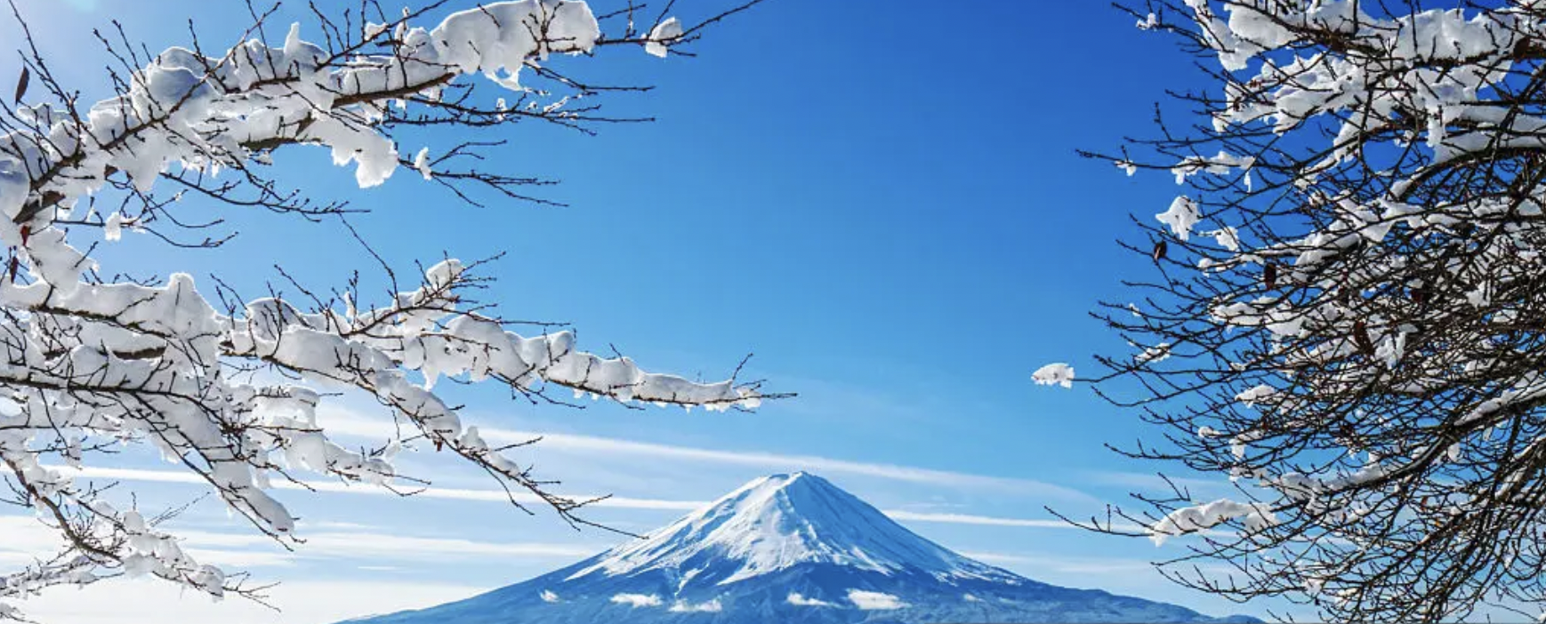 42dc6f9e-af13-4116-81fe-3a365bfcd00e