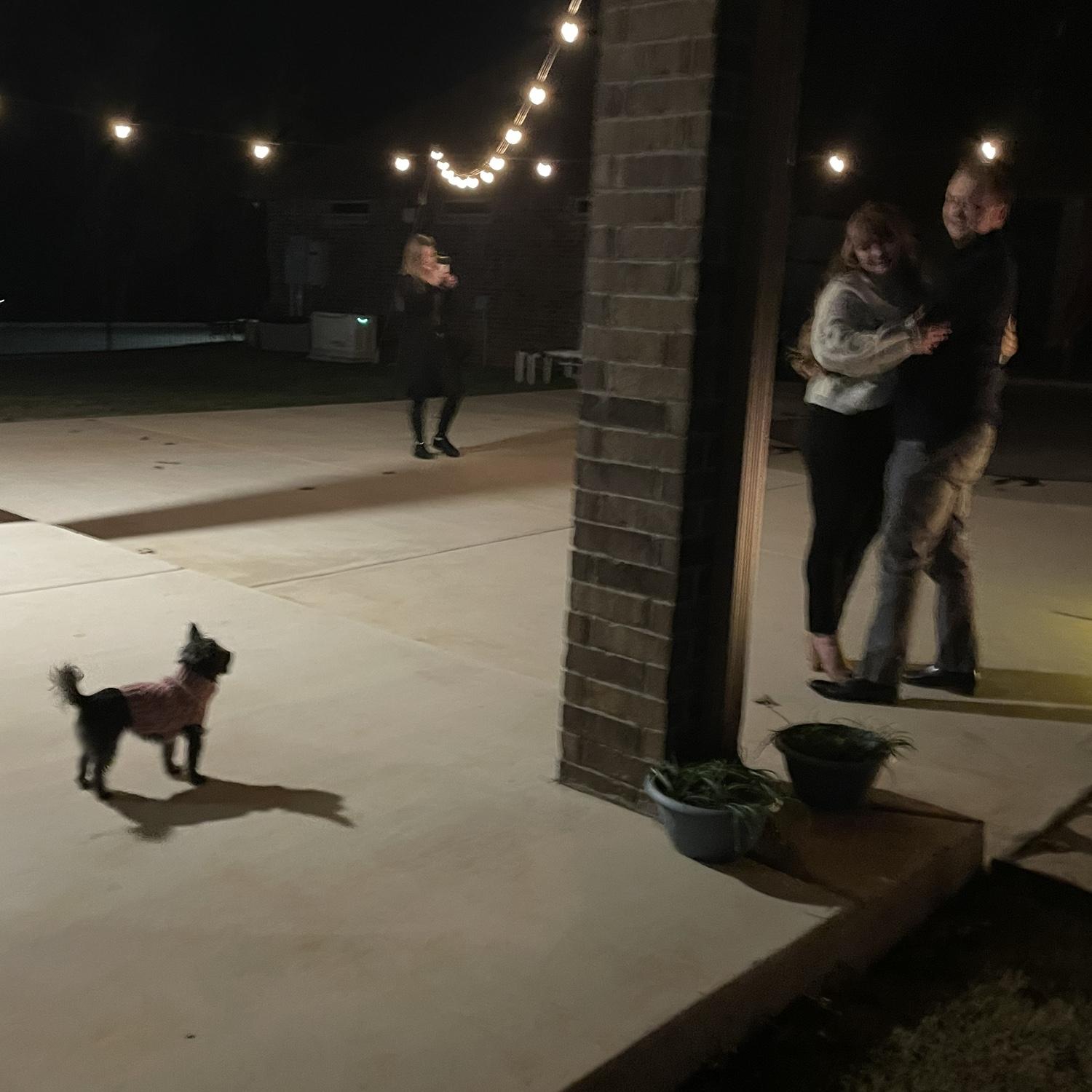 Luna got a front row seat to the whole proposal, here’s us laughing at her staring at us