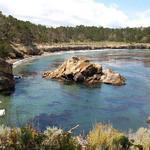 Hike: Point Lobos