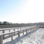 Coligny Beach Park