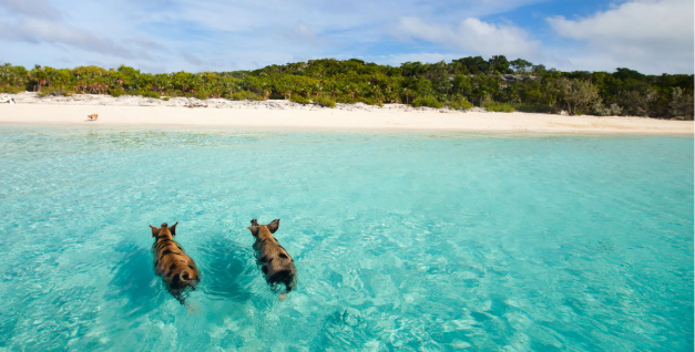 42df0ac8-b75c-4661-845e-095fd1efc148