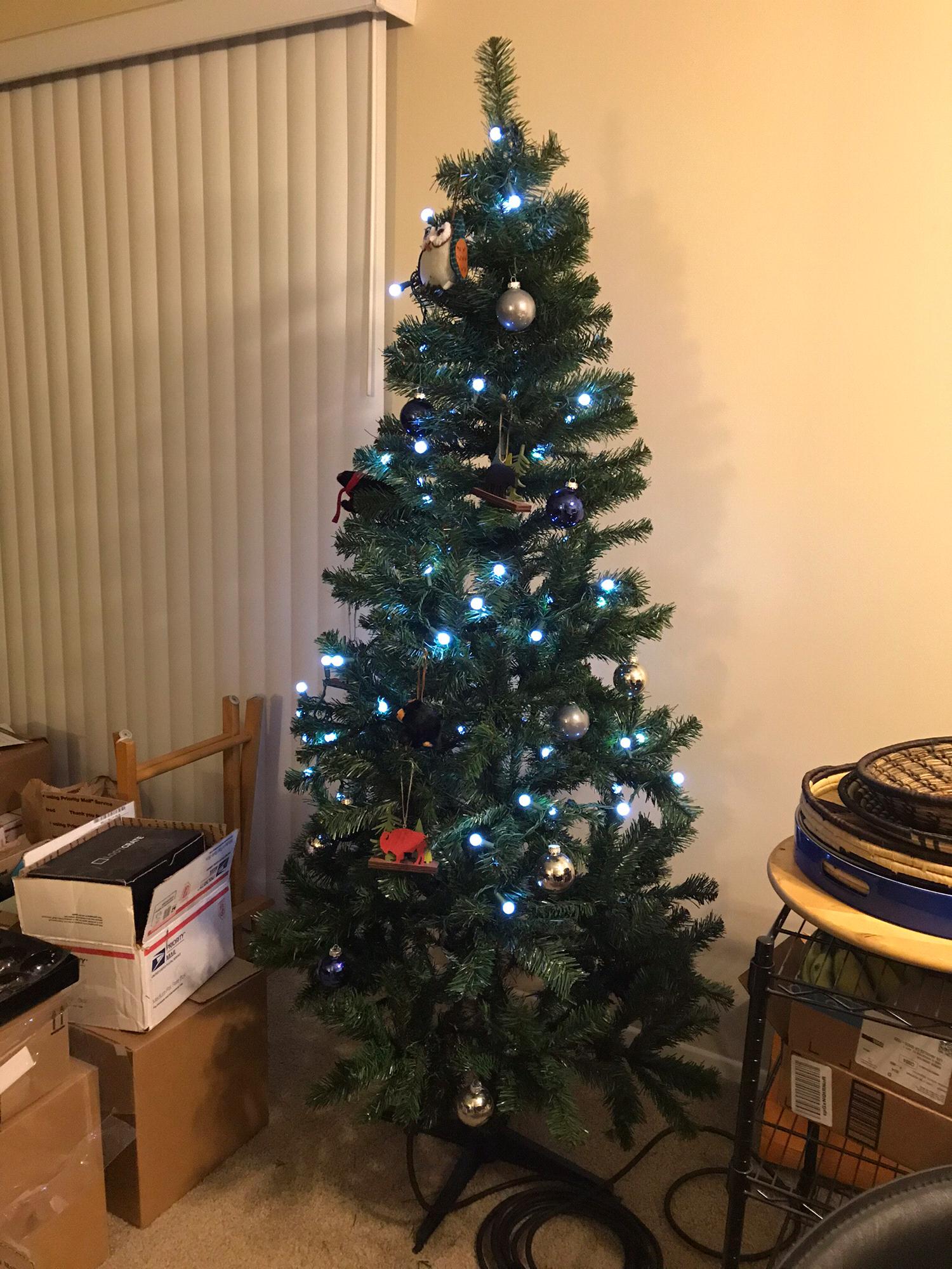 Brad and Liza's first Christmas tree, put up before they had even finished unpacking the new apartment.
