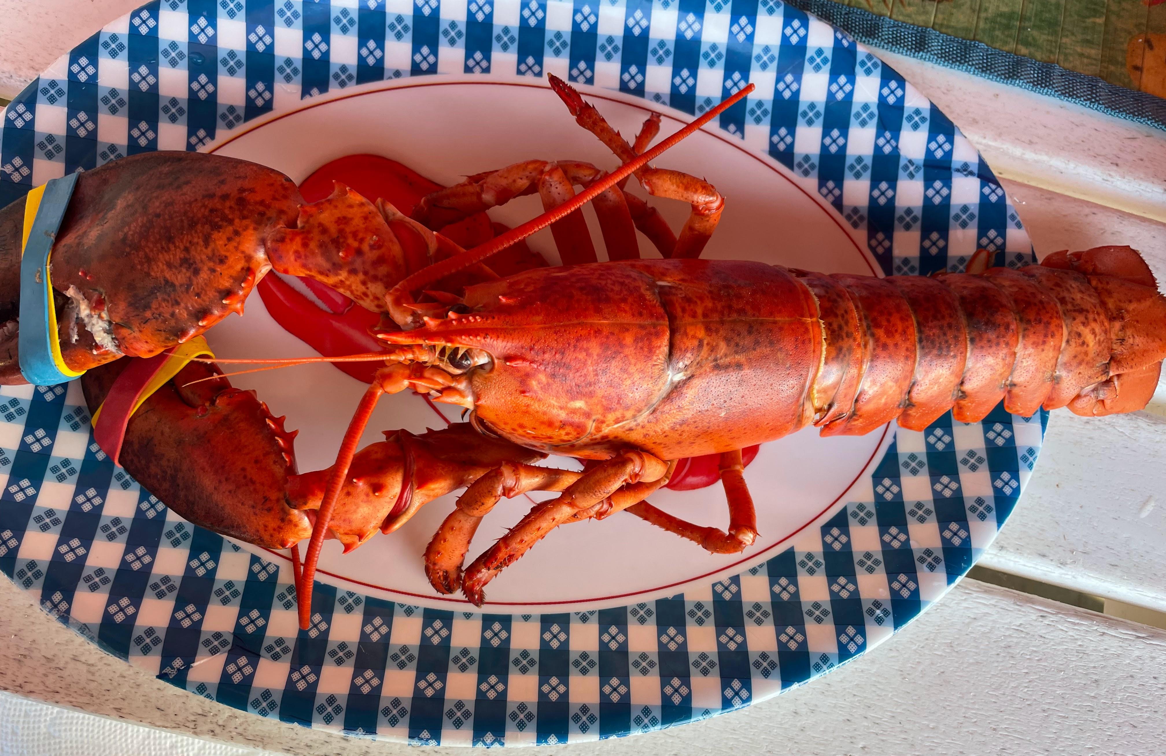 The Wedding Website of Camden Nelson and Cameron Polo