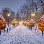 Boston Public Garden