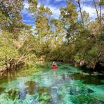 Wekiwa River & Springs