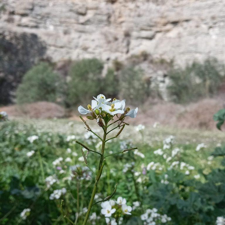 Gavin shot this photo on their first date. Ceci did not stop looking at it for months because that would mean stop looking at him.