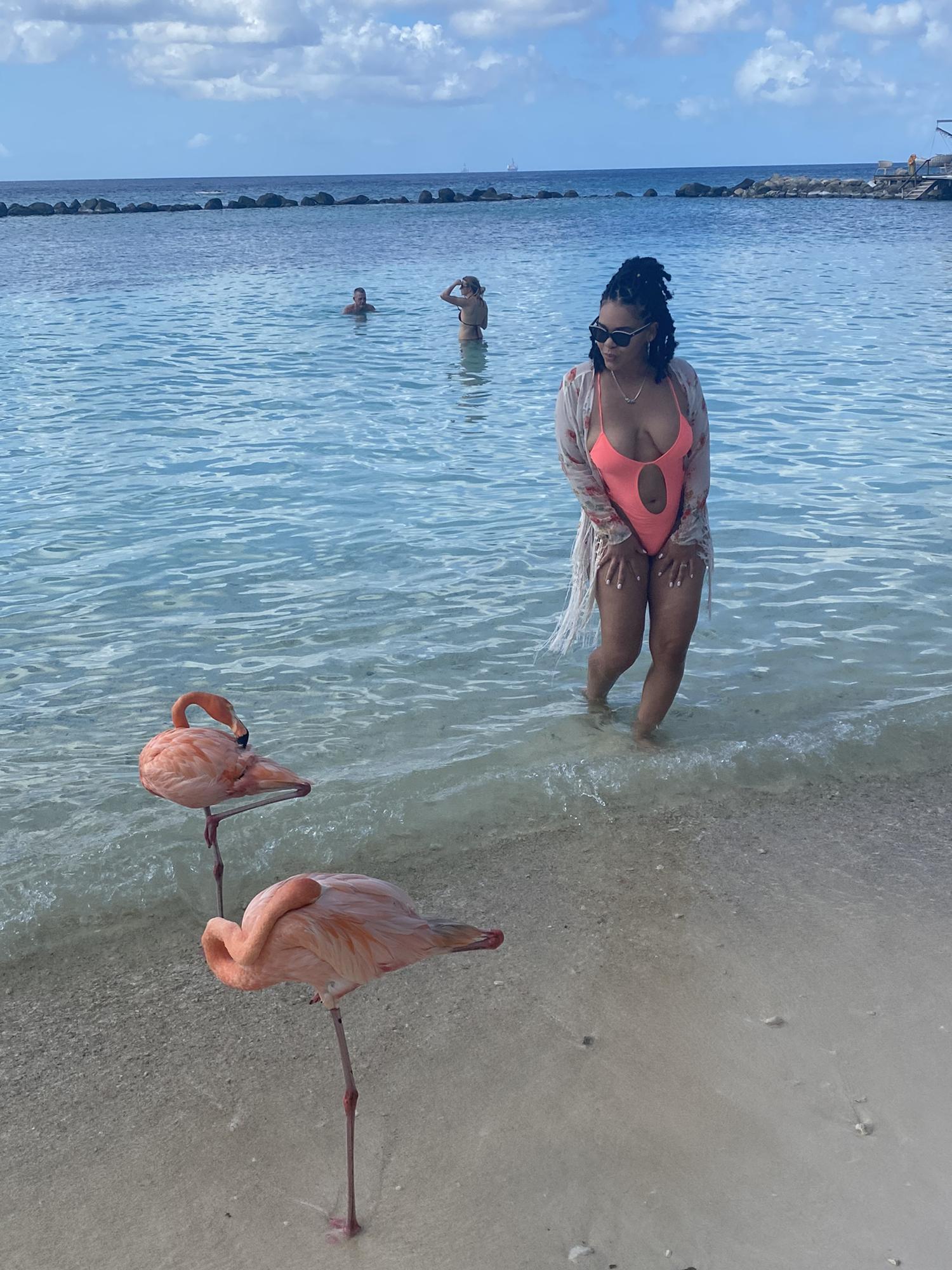 Aruba:
Flamingo Beach 🦩